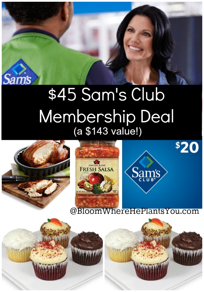 Sam’s Club Membership Deal