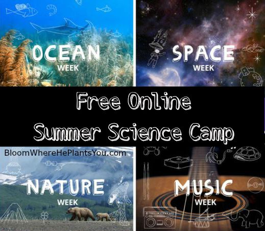 Google Summer Camp