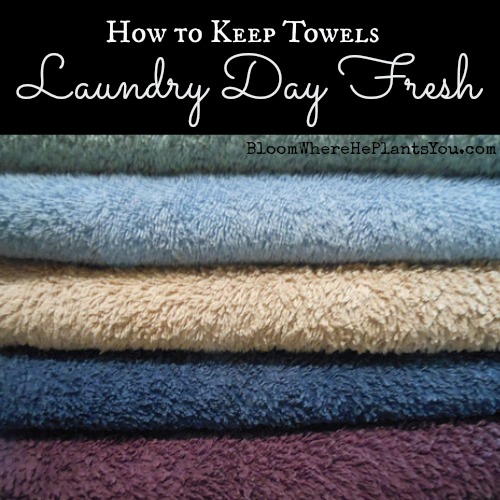 How to Keep Towels Smelling ‘Laundry Day’ Fresh