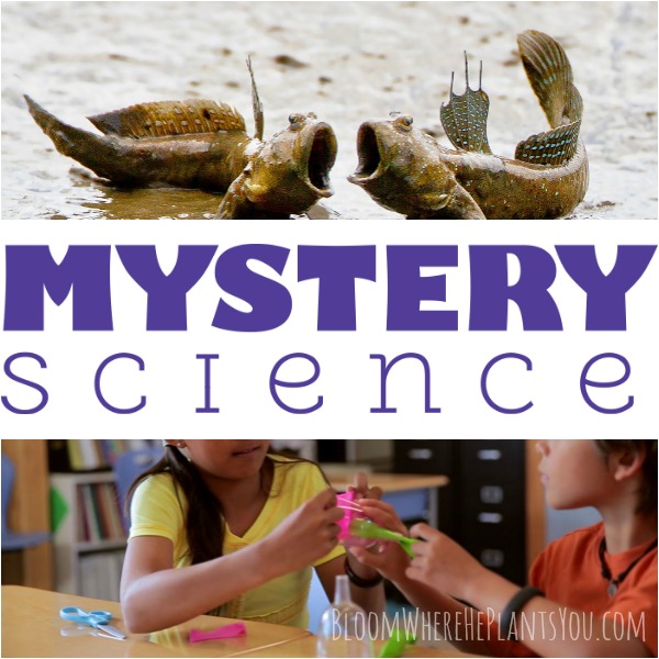 Mystery Science - Open & Go Science Lessons for Grades K - 5