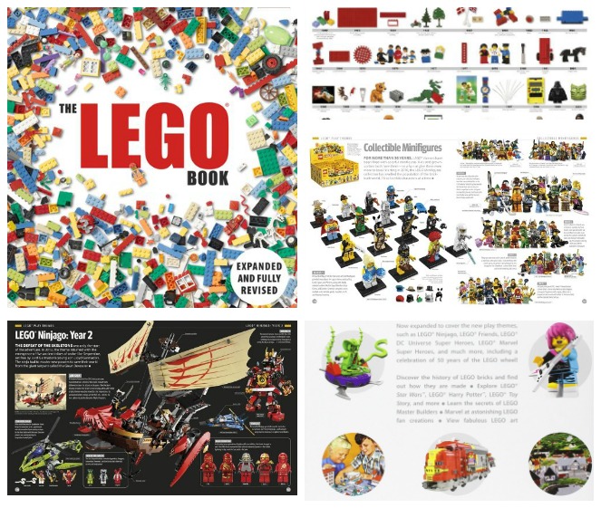 The LEGO Book - great price!