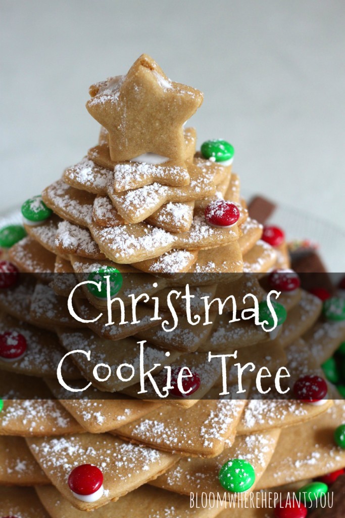 We love making this Gingerbread Christmas Cookie Tree every year!