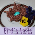 Bird’s Nests!