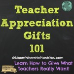 Teacher Appreciation Gifts 101