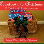 Countdown to Christmas:  25 Nights of Christmas Stories