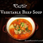 Rustic Vegetable Beef Soup