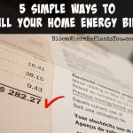 5 Simple Ways to Kill Your Home Energy Bill