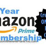 One-Day Amazon Prime Sale