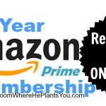 One-Day Amazon Prime Sale!