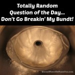Today’s Totally Random Question of the Day – Don’t Go Breakin’ My Bundt!