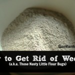 How to Get Rid of Weevils (a.k.a. Those Nasty Little Flour Bugs)